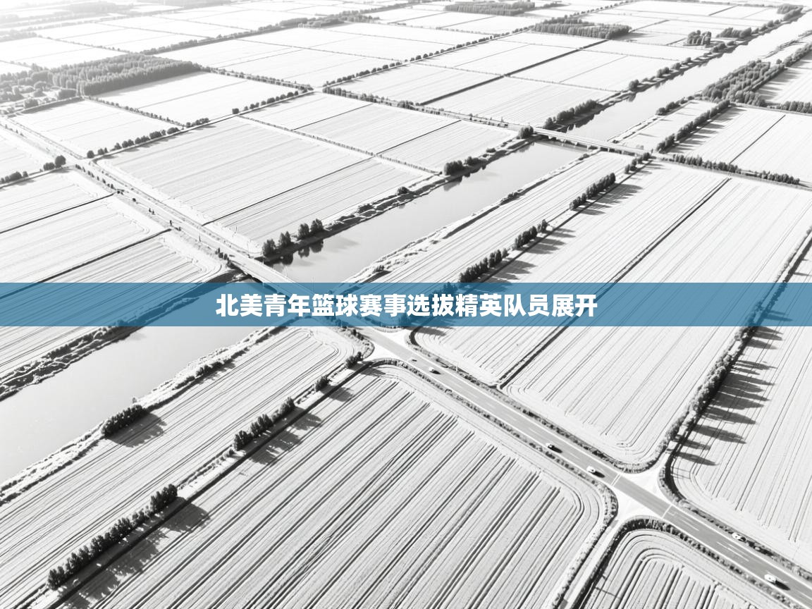 北美青年篮球赛事选拔精英队员展开 第1张