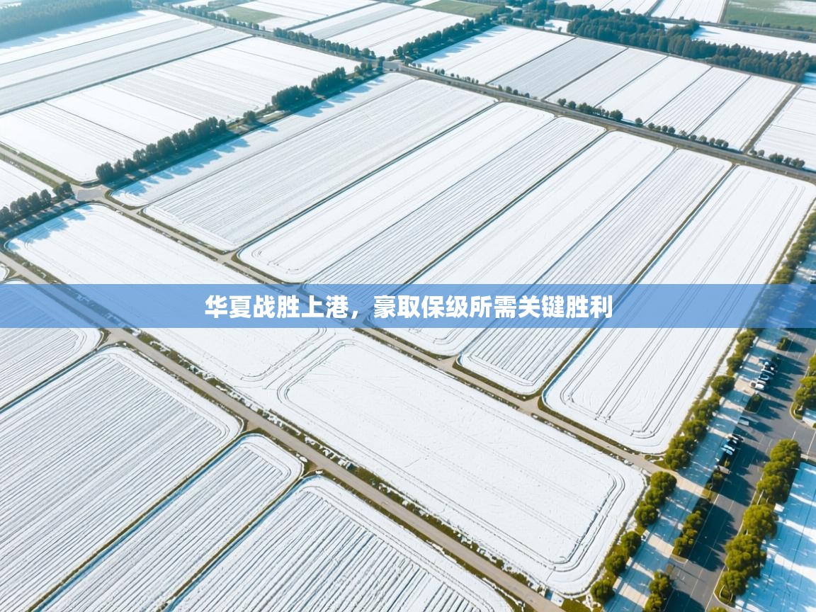 华夏战胜上港，豪取保级所需关键胜利  第2张