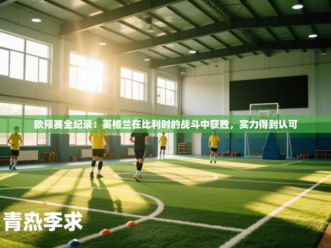 欧预赛全纪录：英格兰在比利时的战斗中获胜，实力得到认可  第2张