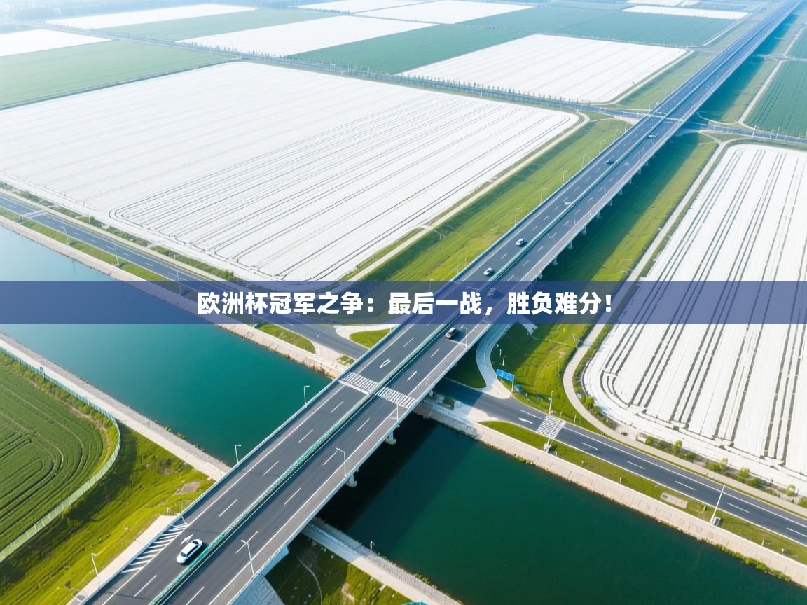 欧洲杯冠军之争：最后一战，胜负难分！  第1张