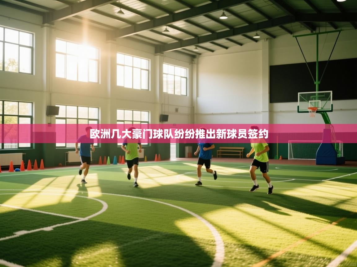 欧洲几大豪门球队纷纷推出新球员签约 第1张